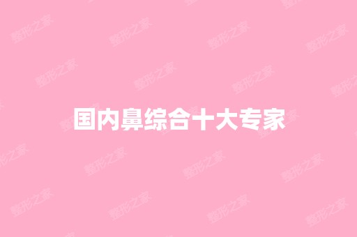 国内鼻综合十大专家