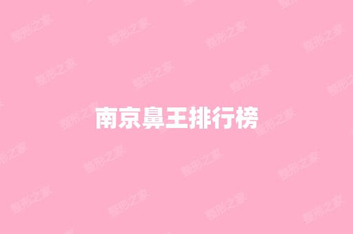 南京鼻王排行榜