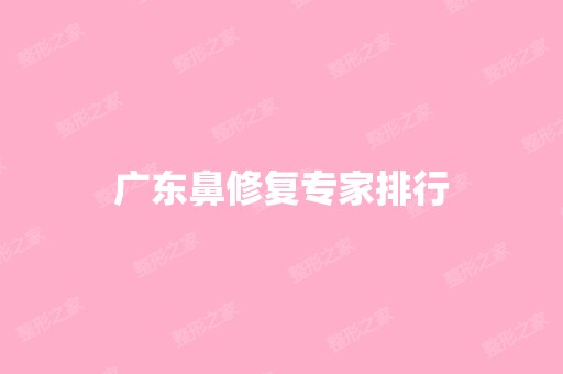 广东鼻修复专家排行