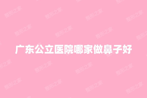 广东公立医院哪家做鼻子好