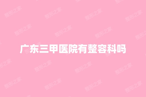 广东三甲医院有整容科吗