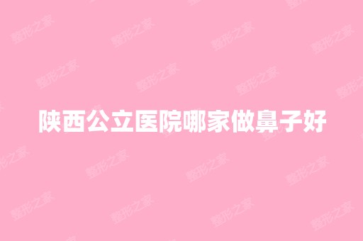 陕西公立医院哪家做鼻子好