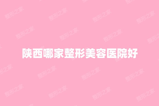 陕西哪家整形美容医院好