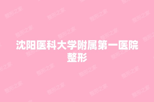 沈阳医科大学附属第一医院整形