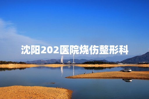 沈阳202医院烧伤整形科