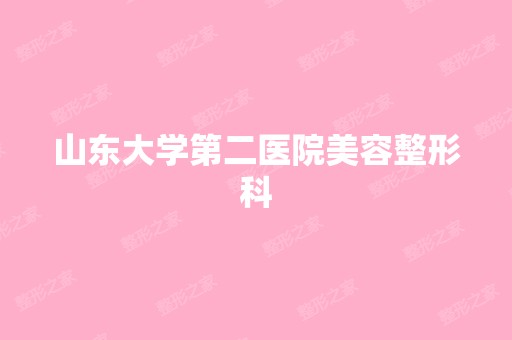 山东大学第二医院美容整形科