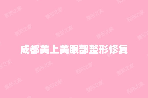 成都美上美眼部整形修复