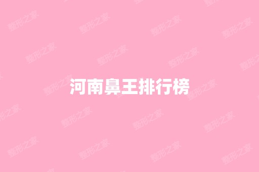 河南鼻王排行榜