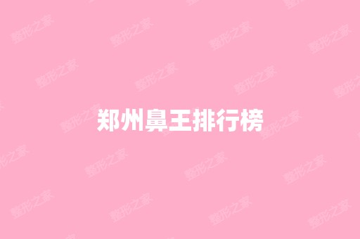 郑州鼻王排行榜