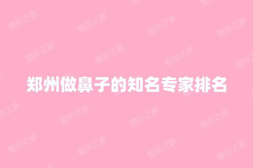 郑州做鼻子的知名专家排名