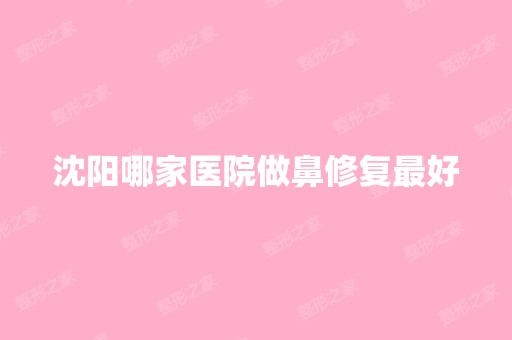 沈阳哪家医院做鼻修复比较好