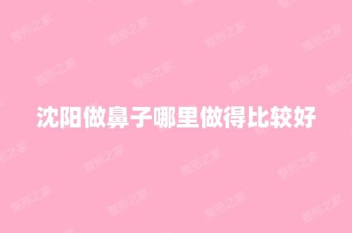 沈阳做鼻子哪里做得比较好