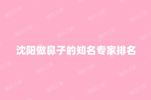 沈阳做鼻子的知名专家排名