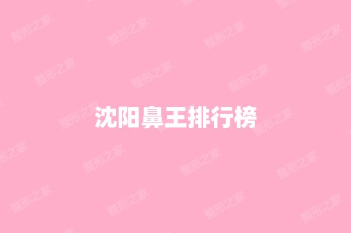 沈阳鼻王排行榜