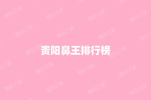 贵阳鼻王排行榜