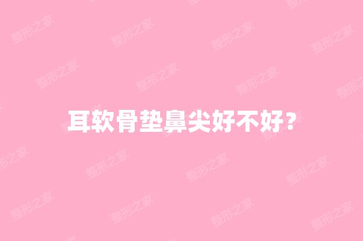 耳软骨垫鼻尖好不好？