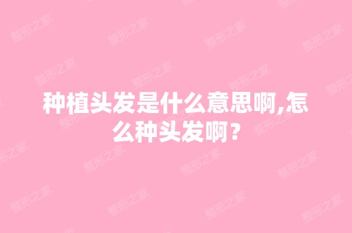 种植头发是什么意思啊,怎么种头发啊？