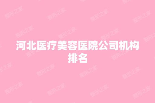 河北医疗美容医院公司机构排名