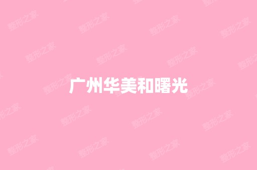 广州华美和曙光