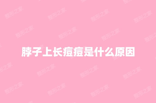 脖子上长痘痘是什么原因