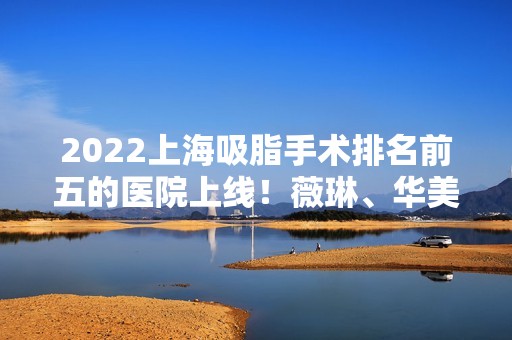 2024上海吸脂手术排名前五的医院上线！薇琳、华美、百达丽等私立医美蝉联在榜