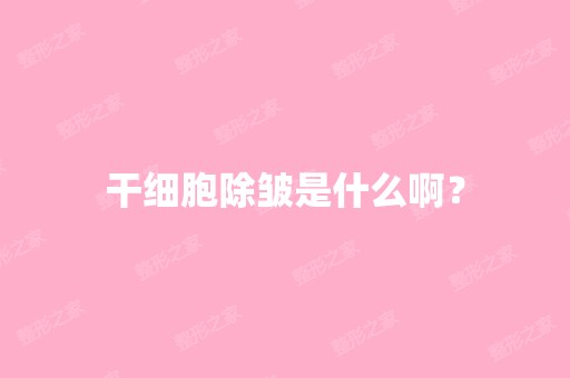 除皱是什么啊？