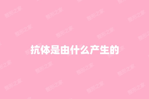 抗体是由什么产生的