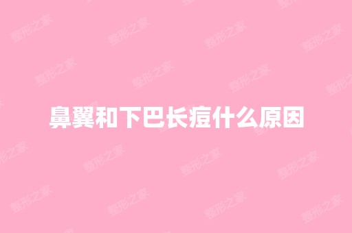 鼻翼和下巴长痘什么原因