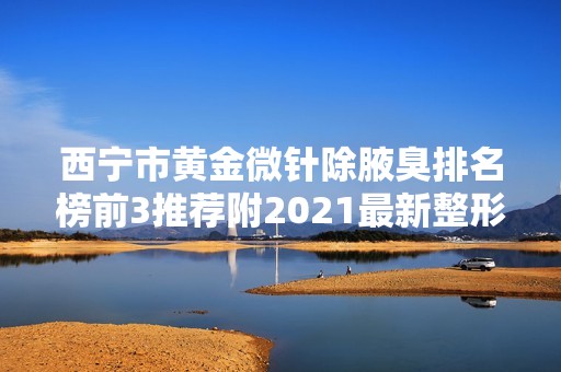 西宁市黄金微针除腋臭排名榜前3推荐附2024新整形价格表