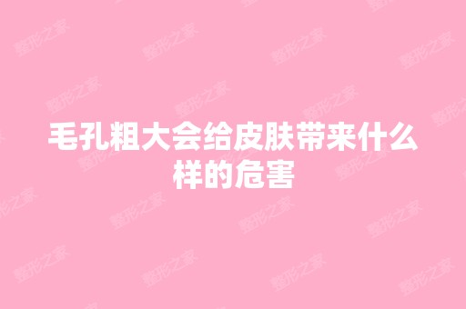 毛孔粗大会给皮肤带来什么样的危害