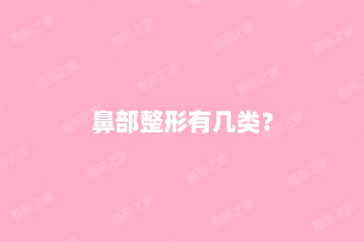 鼻部整形有几类？