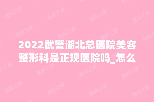 2024武警湖北总医院美容整形科是正规医院吗_怎么样呢_是公立医院吗