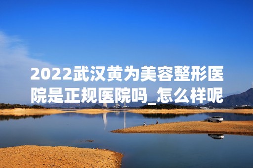 2024武汉黄为美容整形医院是正规医院吗_怎么样呢_是公立医院吗