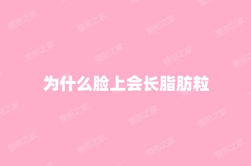 为什么脸上会长脂肪粒