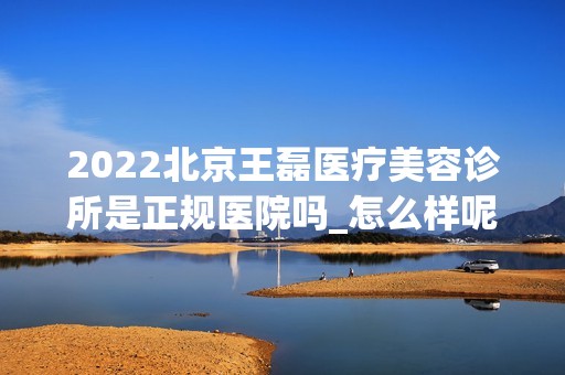 2024北京王磊医疗美容诊所是正规医院吗_怎么样呢_是公立医院吗