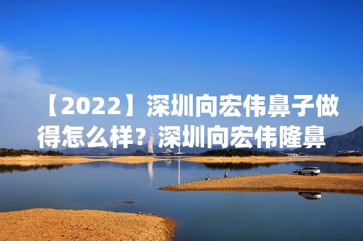 【2024】深圳向宏伟鼻子做得怎么样？深圳向宏伟隆鼻简介案例预约_价格表