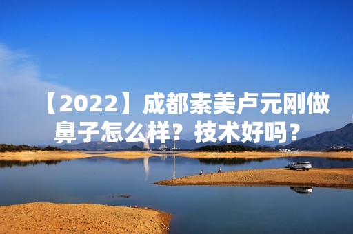 【2024】成都素美卢元刚做鼻子怎么样？技术好吗？