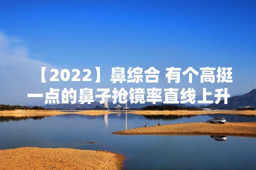 【2024】鼻综合 有个高挺一点的鼻子抢镜率直线上升