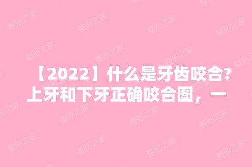 【2024】什么是牙齿咬合?上牙和下牙正确咬合图，一看就明白