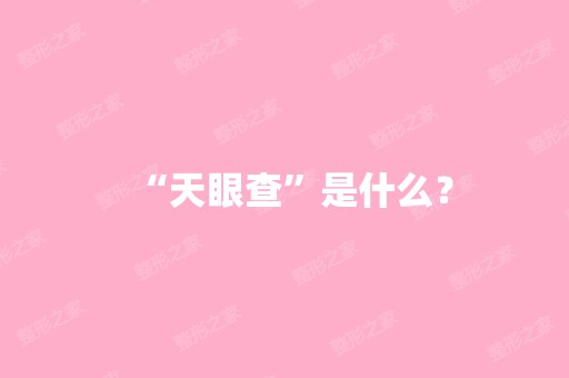 “天眼查”是什么？