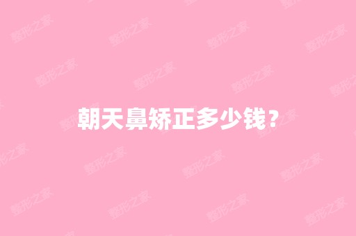 朝天鼻矫正多少钱？