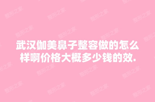 武汉伽美鼻子整容做的怎么样啊价格大概多少钱的效...