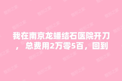 我在南京龙蟠结石医院开刀， 总费用2万零5百，回到...