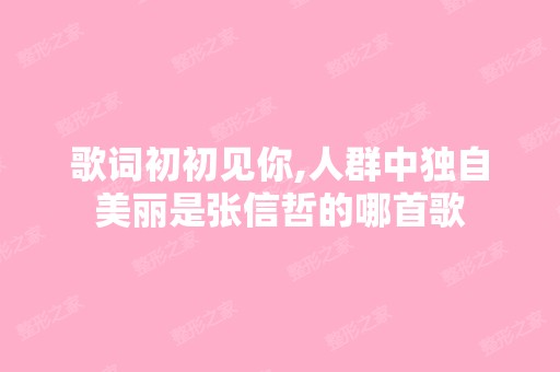 歌词初初见你,人群中独自美丽是张信哲的哪首歌