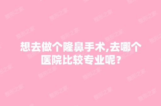 想去做个隆鼻手术,去哪个医院比较专业呢？