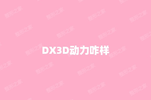 DX3D动力咋样