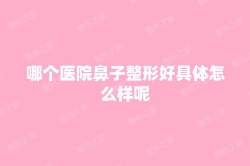 哪个医院鼻子整形好具体怎么样呢