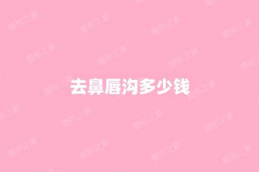 去鼻唇沟多少钱