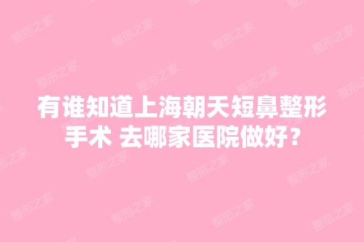 有谁知道上海朝天短鼻整形手术 去哪家医院做好？