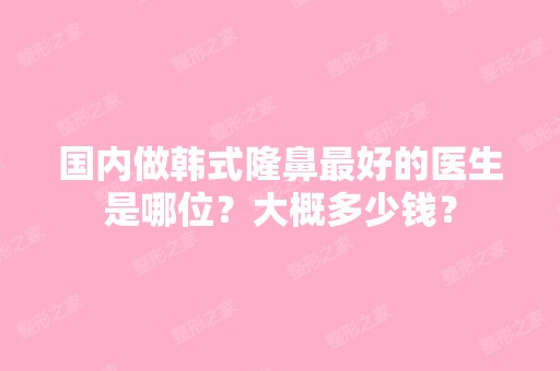 国内做韩式隆鼻比较好的医生是哪位？大概多少钱？